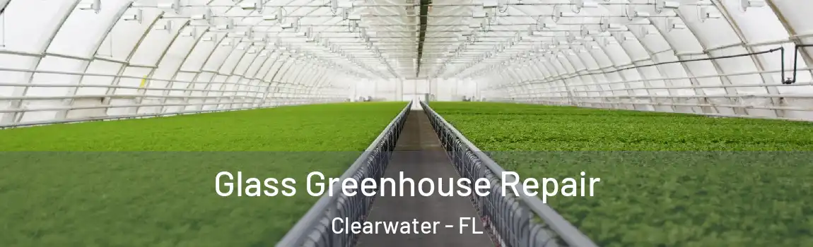  Glass Greenhouse Repair Clearwater - FL
