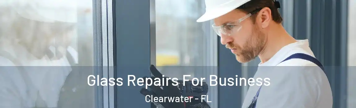  Glass Repairs For Business Clearwater - FL