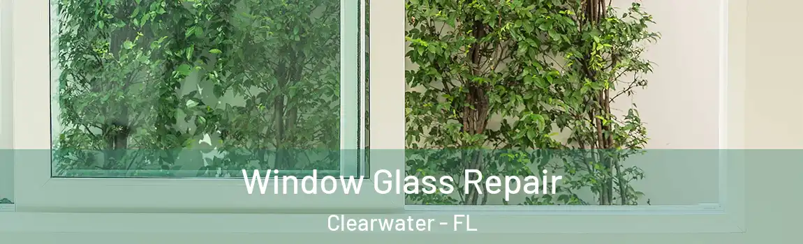  Window Glass Repair Clearwater - FL